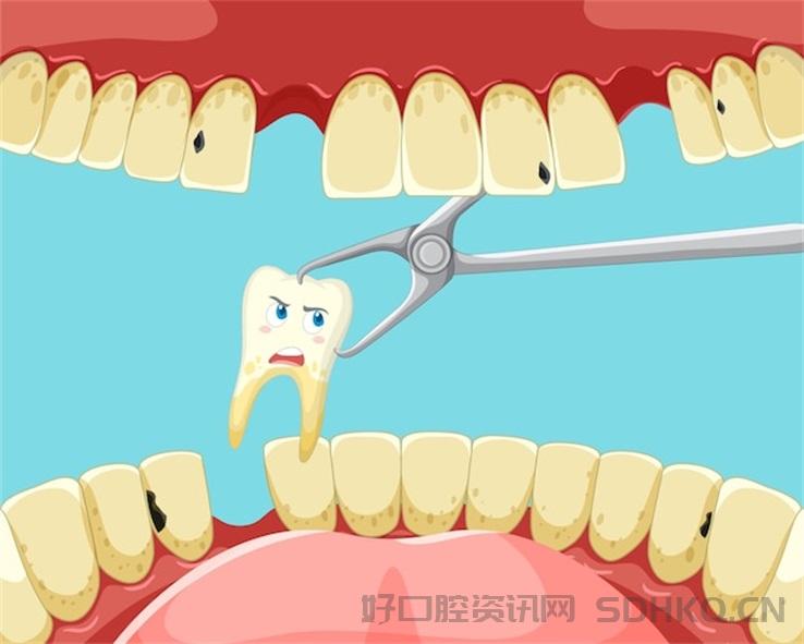 202405201716188007817531.jpg 202405201716188007817531.jpg